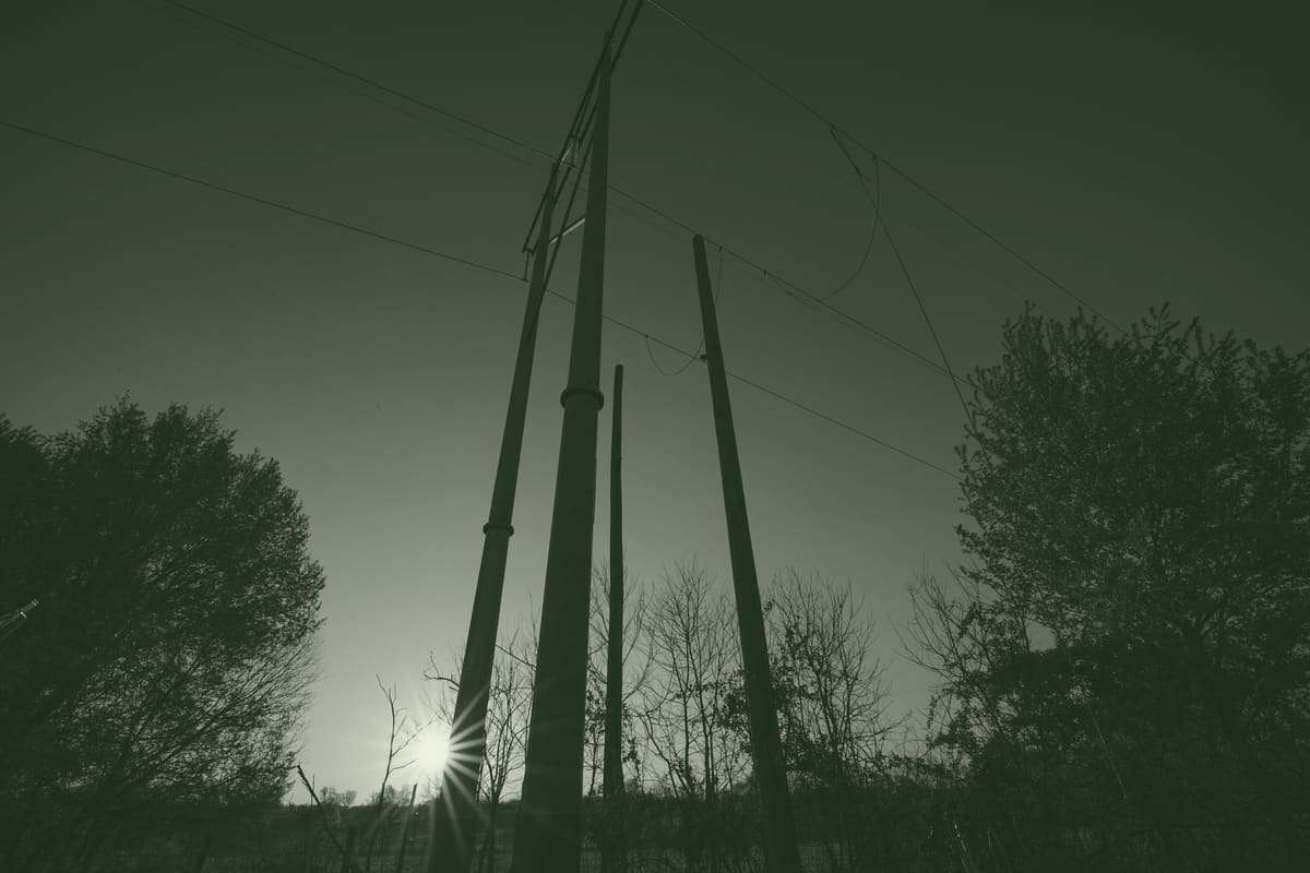 Tall wooden transmission poles silhouetted against a low sun at the edge of a field, with bare trees on either side